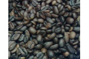 産業廃棄物として処理予定のコーヒー豆残渣を牧場で活用